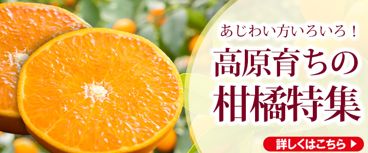 先行受付!新米】《2025年産(令和7年産)》霧島湧水が育む