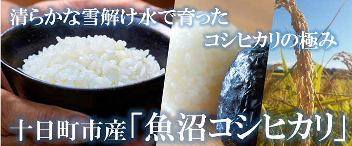 令和7年産米】魚沼産こしひかり 棚田米(十日町地域) 精米 2kg 1月配送