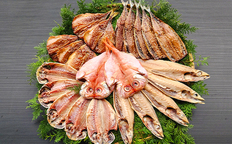 藤文の「ふるさと干物セット 22枚」 金目鯛 さば 秋刀魚 あじ 鯵 ひも