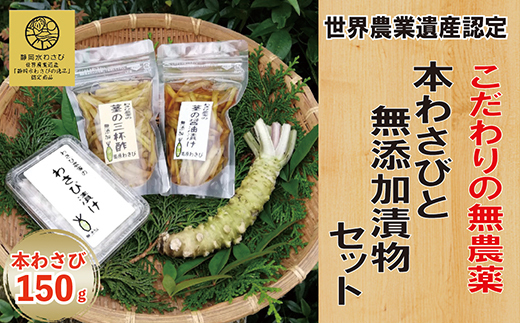 農家直送☆伊豆産本わさび500g【市場規格品】