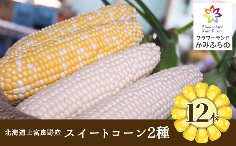 令和8年産】北海道 上富良野 町産 スイートコーン 2種 セット 食べ比べ