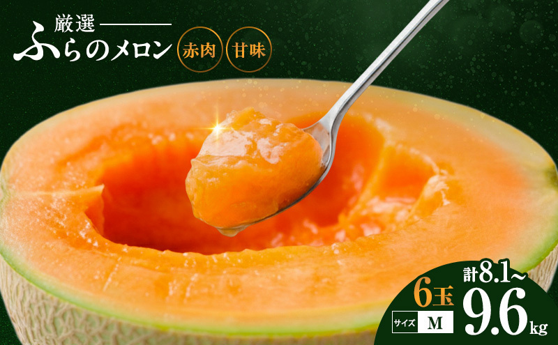 令和8年産】ふらの 赤肉メロン 厳選 甘味 Mサイズ 1.35kg～1.6kg 6玉