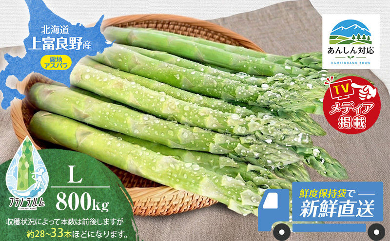 令和8年産】 〔メディア掲載されました〕 露地 グリーン アスパラガス
