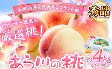 【期間限定】あら川の桃　秀品　中箱　6個入 日川白鳳（6月中旬頃～） | 八旗農園通販サイト