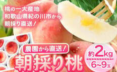 朝採り桃 はやし農園 約2kg《2023年6月中旬-8月上旬頃より順次出荷