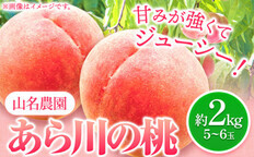 あら川の桃 約2kg 5-6玉 山名農園 《2023年6月下旬-9月中旬頃より順次