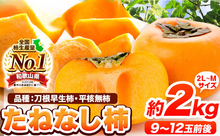 ふるさと納税 和歌山県 紀の川市 先行予約 和歌山県産 八朔(はっさく) 約4kg 前商店《1月上旬-1月末頃出荷》産地直送 柑橘