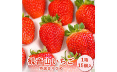 先行予約】和歌山県産 観音山いちご（特選まりひめ）15玉 有限会社柑