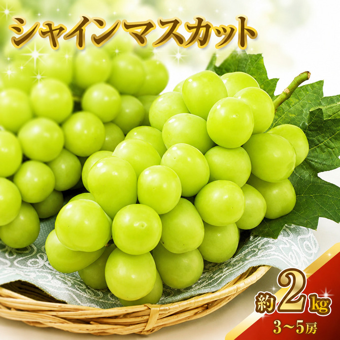 シャインマスカット 約2kg 3～5房 ぶどう 葡萄 フルーツ 岡山 高梁市産