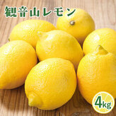 ご家庭用 温州みかん 5kg (S～Lサイズ混合) 和田果樹園【先行予約