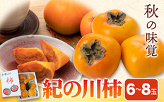 和歌山県産 紀の川柿 6~8玉 手平農園《10月上旬から11月上旬頃より順次