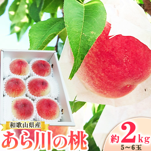 名産地：より お届け！ あら川の桃 約2kg (5~6玉) 森端農園