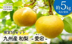 宮崎県産完熟金柑(たまたま）2Ｌ箱込み5キロ 2026年3月上旬以降順次発送】宮崎県産 完熟きんかん〈たまたま