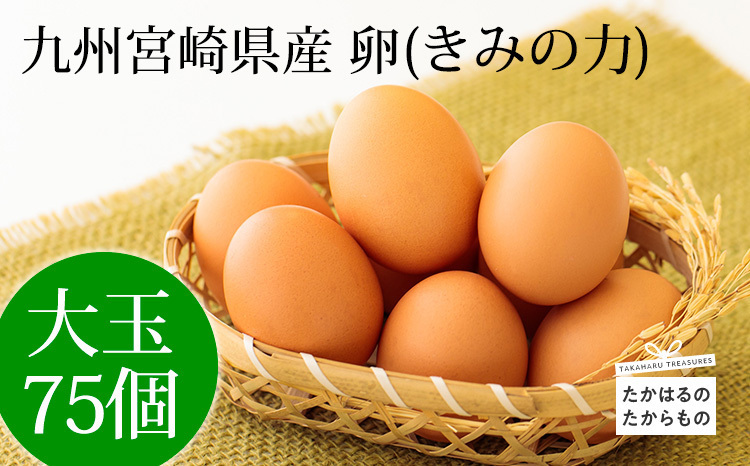 たまご 宮崎県産の新鮮たまご『きみの力(チカラ)』75個Lサイズの卵 ミネラル