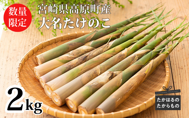 本日セール‼️高級たけのこ14キロ【量指定⭕️】 1粒800円超え…高級すぎる「たけのこの里」が大阪で復活、買えるのは