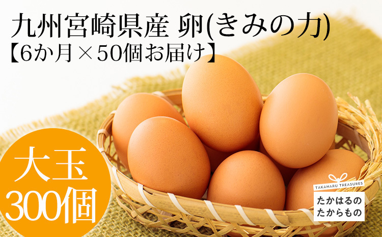 当サイト限定品》【定期便】年6回×50個 計300個 宮崎県産きみの力
