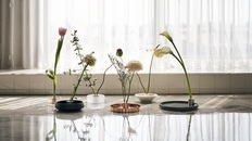 一輪挿し 津軽びいどろ 彩手鞠 弥生 一輪挿し | 花器・花瓶,ガラス器 | フラワー