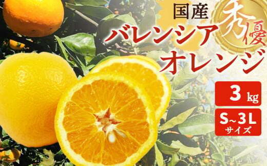 ZT6247_国産 バレンシアオレンジ 秀優 3kg S～3Lサイズ | 和歌山県湯浅