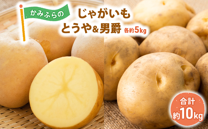令和8年産】しんや農園のじゃがいも「とうや5kg & 男爵5kg」 計10kg