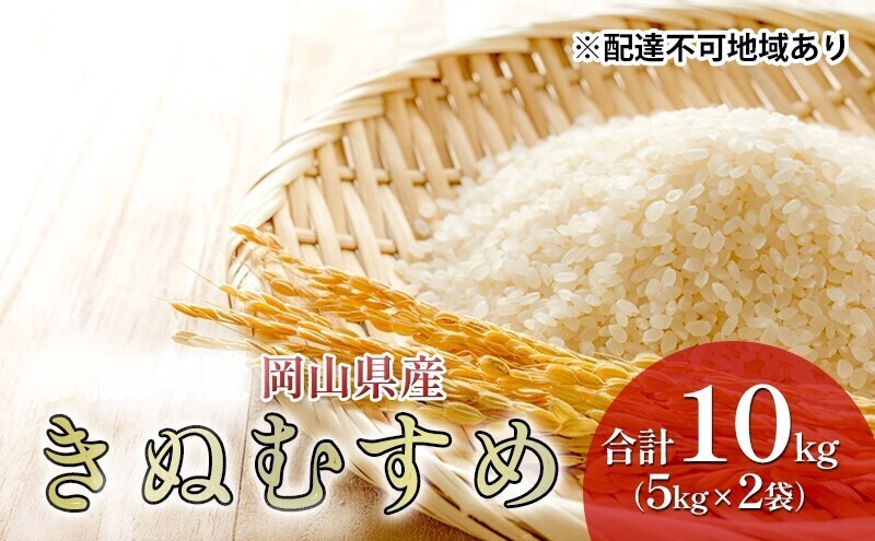 米 特A ランク きぬむすめ 10kg （5kg×2袋） 令和7年産 こめ コメ 白米