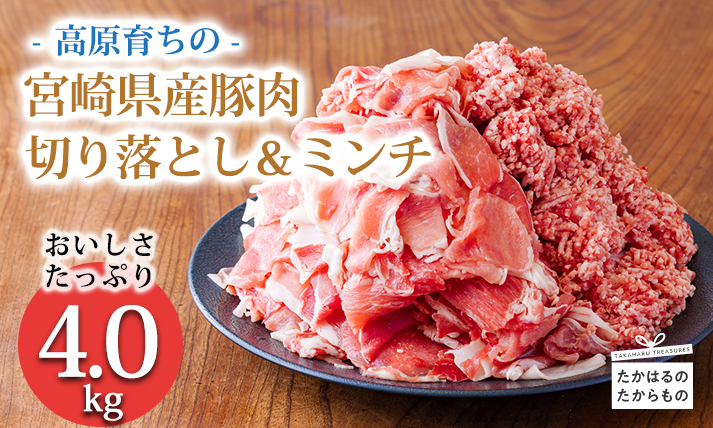 寄付金14,000円で4kg！》国産 豚肉切り落とし＆豚肉ミンチ 大