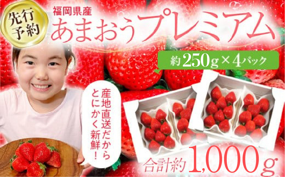 先行予約】大木町産 あまおう いちご 約250g×4パック《2027年2月以降