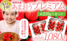 先行予約】大木町産 あまおう いちご 約270g×4パック《2027年2月以降