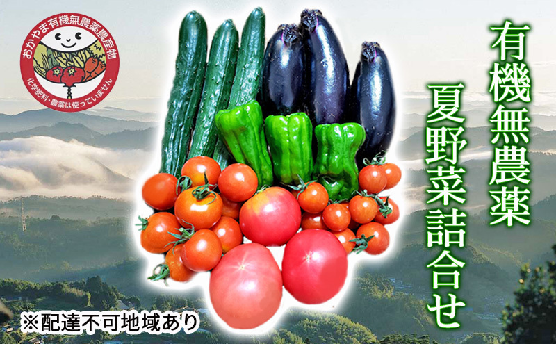 ひとめぼれ&夏野菜の詰め合わせ 2026年 早期受付 夏野菜 詰め合わせ おかやま 有機無農薬 農産物 野菜