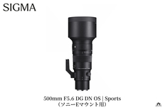 SIGMA 500mm F5.6 DG DN OS Sports【ソニーEマウント】 | 【公式】福島