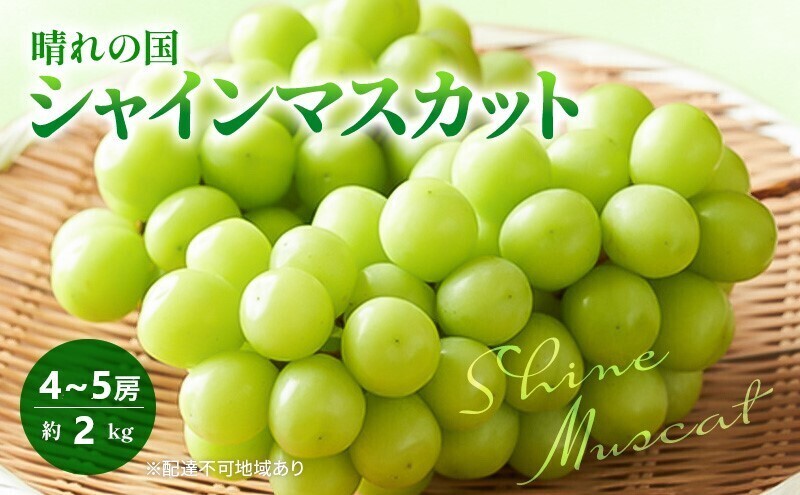 2026年 早期受付 ぶどう 晴れの国 シャインマスカット 2kg (4～5房