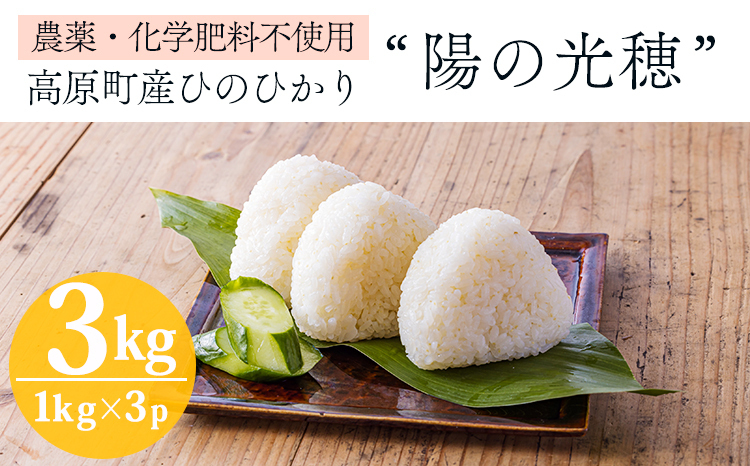 数量限定・無農薬栽培》新米 2025年産 「陽の光穂(ひのひかり)」3kg 
