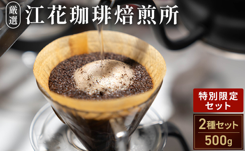 江花珈琲「特別限定セット」 250g×2種 コーヒー コーヒー豆 珈琲豆