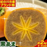 ＜先行予約＞紀の川市産 黒あま 種なし 約2kg（6～9玉前後）4L～2Lサイズ《2025年10月中旬-11月末頃出荷》和歌山県 紀の川市 たねなし柿 くろあま 高級 産地直送 かき 柿 カキ 果物 フルーツ---wfn_wlocal81_10c11m_25_10000_2kg---