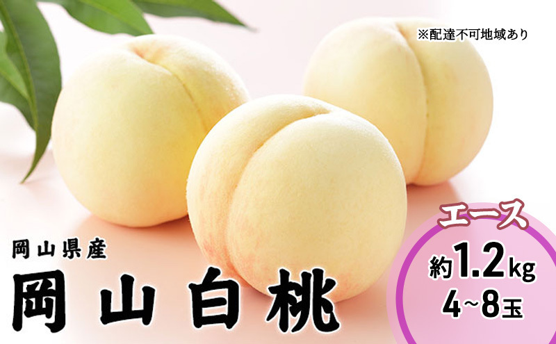 桃 2026年 先行予約 岡山 白桃 エース 4～8玉 1.2kg 岡山県産 JA