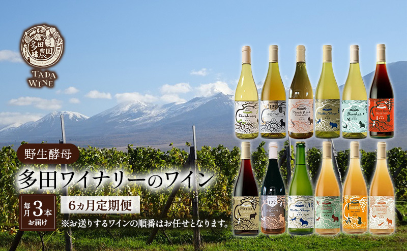 6ヵ月定期便◇野生酵母ワイン 毎月3本お届け(6ヵ月間) 多田ワイナリー