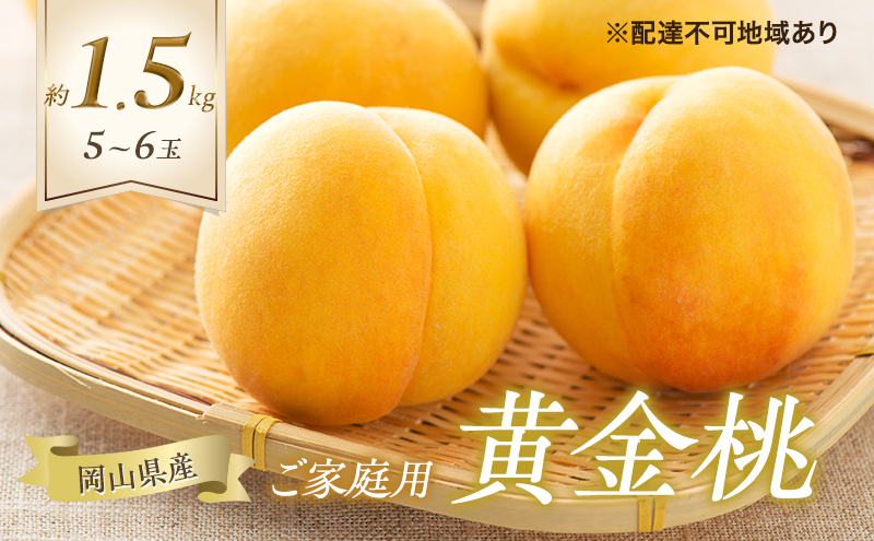 ゆう（ギフト用黄金桃6kg）① 桃 2026年 先行予約 ご家庭用 黄金桃 5～6玉 合計約1.5kg もも モモ