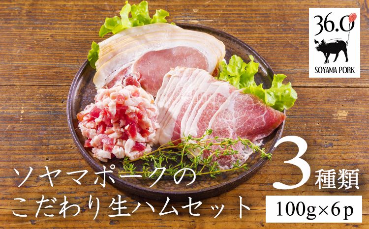 ソヤマポークのこだわり生ハムセット3種類(100g×6p) TF827-P00078