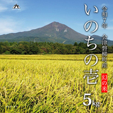 令和7年産】幻の米 いのちの壱5kg 特別栽培米【減農薬・減化学肥料
