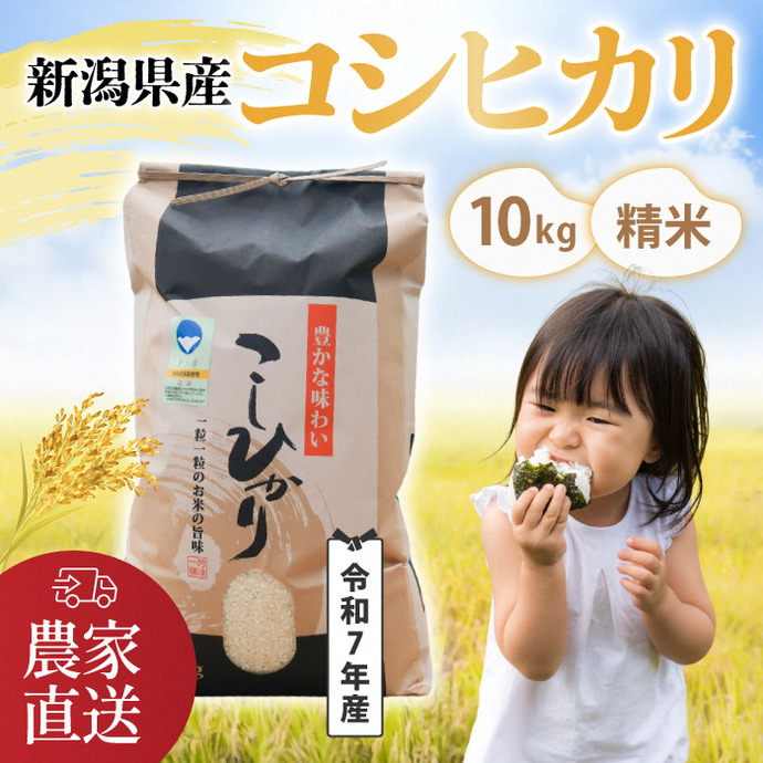 令和7年産・コシヒカリ】南波農園の特別なお米 精米10kg／新潟県燕市産 