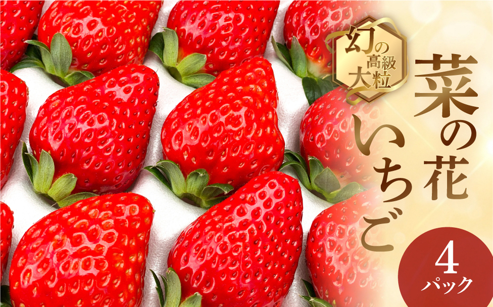 菜の花いちご6～8粒入 4パック 大粒 | 田原市公式ふるさと納税【直営
