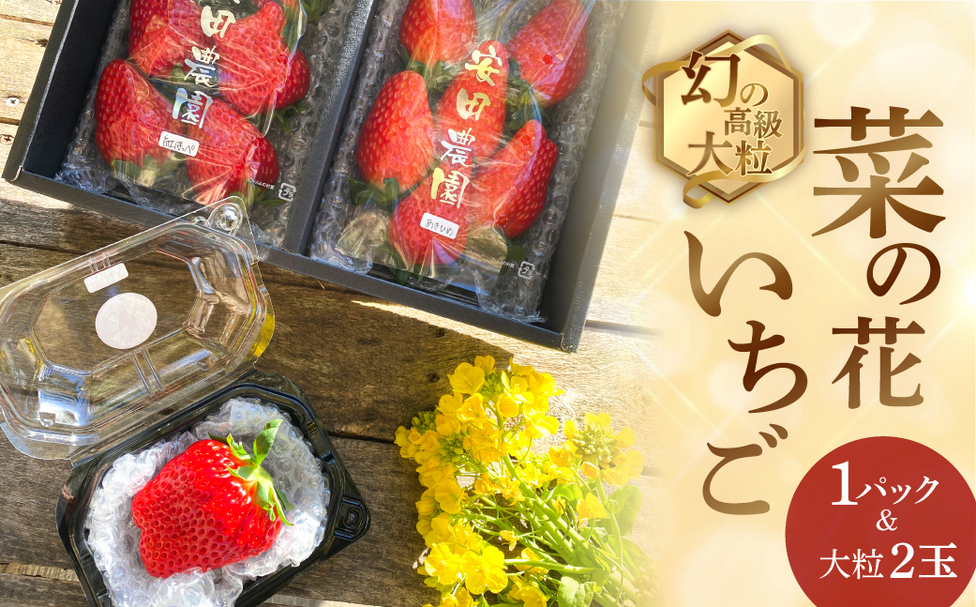菜の花いちご 1パック(6～8粒入)・大粒2玉 | 田原市公式ふるさと納税
