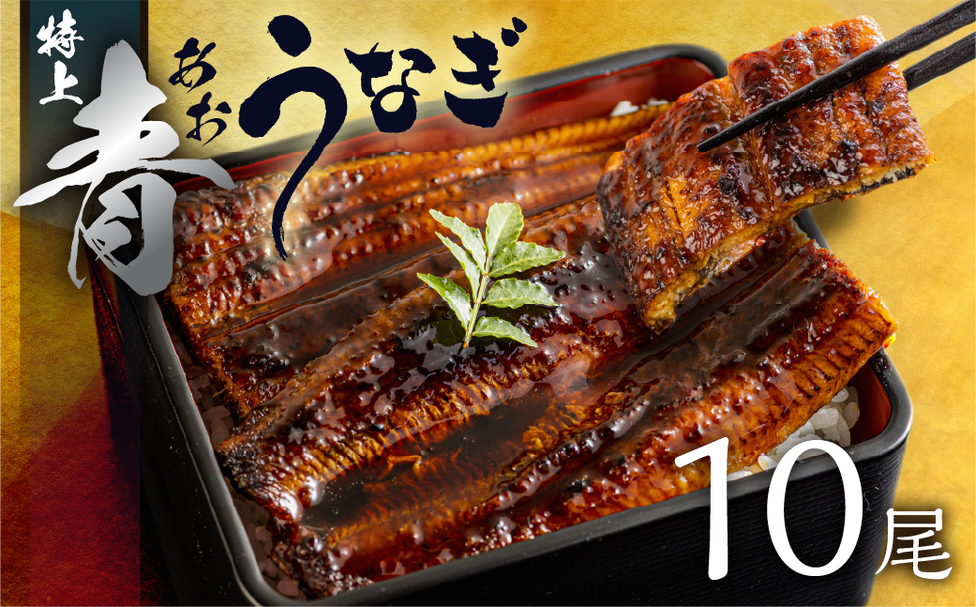 冷凍】厳選 高級 青うなぎ 10尾 蒲焼 1500g | 田原市公式ふるさと納税