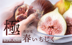 先行予約】2026年6月発送【3～5玉】 タカミレッド 5kg 3～5玉 水野農園