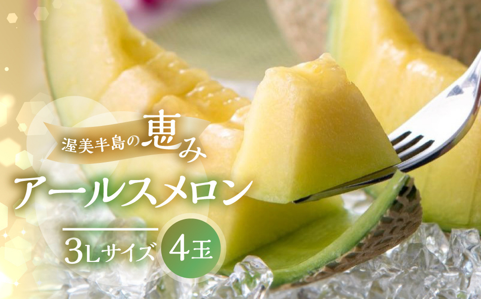 らんこまま様 愛知県産 渥美半島 温室メロン 3玉箱 芳醇な