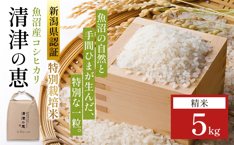 令和7年産魚沼産産特別栽培米コシヒカリ［清津の恵］精米5kg | とおか