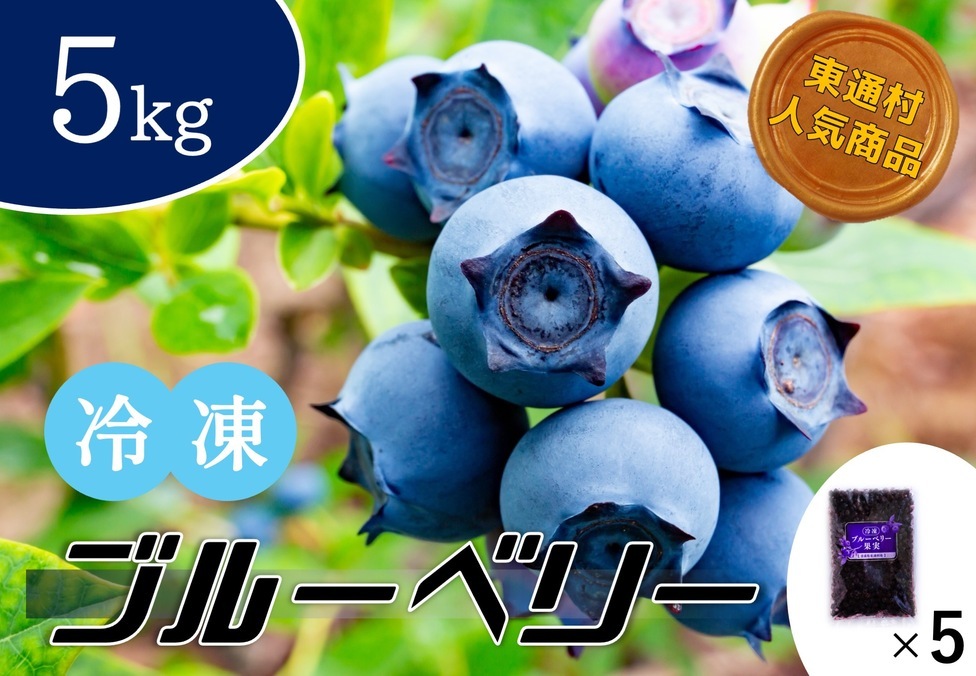冷凍ブルーベリー5.0kg（1.0kg×5袋） | 東通村ふるさと納税