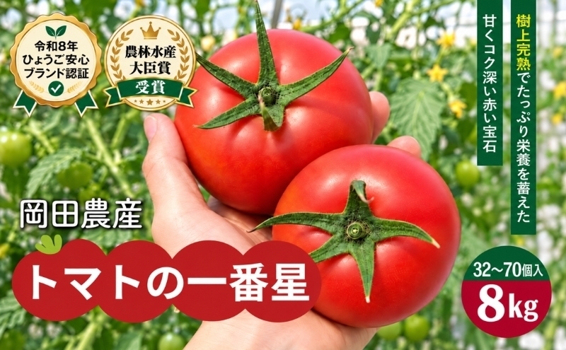 【レア品】トマト大事典 農文協／編 トマト 8kg トマトの一番星 野菜 とまと 完熟 高糖度 甘い 受賞 冷蔵