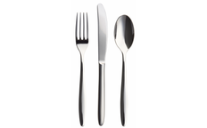 新潟県燕市製造 TBCL ブランチ 定番サイズカトラリー FC015197 新潟県燕市製造 TBCL ブランチ 定番サイズカトラリー FC015197