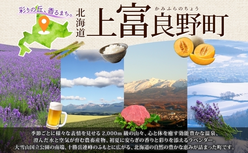 北海道産 ななつぼし 無洗米 15kg 米 特A 獲得 白米 ごはん 道産米