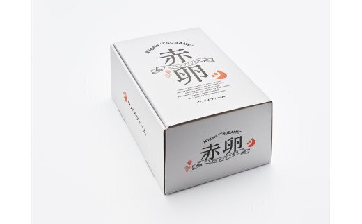 リピート御礼】抜群に美味しい!!濃厚たまご!!アスタ卵(定期便月1回×12